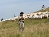 Jánošík pasie ovce